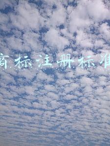 商标注册标准