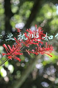 哈尔滨个体营业执照如何注销(即日起，哈尔滨市纳入简易注销试点！企业注销便利化改革又出新举措)