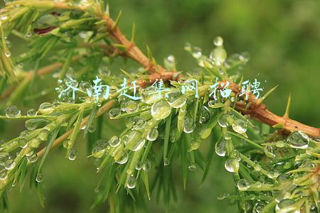 济南赶集网招聘