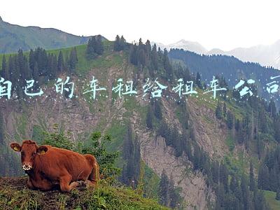 自己的车租给租车公司多少钱一个月(私家车出租给租赁公司收益怎么样，实测大方租车)