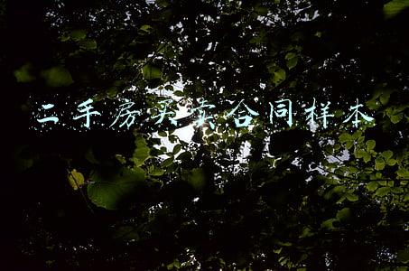 二手房买卖合同样本