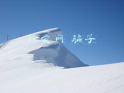 珍爱网站上的骗局(诱导消费、“杀猪盘”纠纷：珍爱网的是是非非)