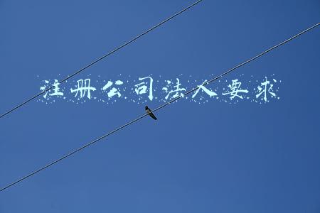 注册公司法人要求