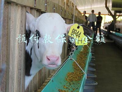 预付款保函金额