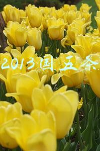 2013国五条 刺激楼市(楼市期待政策再发力 但须对接常态化)