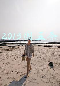 2013国五条