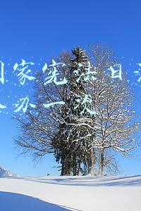 我国国家宪法日活动每几年举办一次