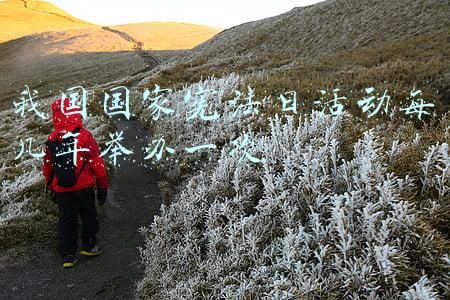 我国国家宪法日活动每几年举办一次