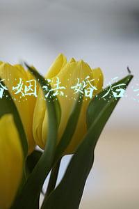 新婚姻法婚后买房