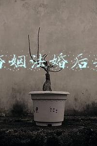 新婚姻法婚后买房