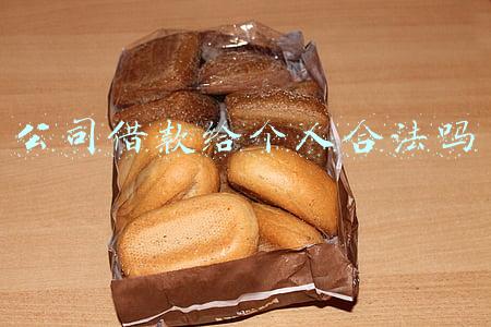 公司借款给个人合法吗