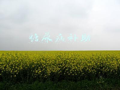 糖尿病补助