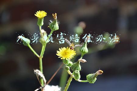 人身损害赔偿办法