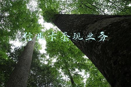 信用卡套现业务