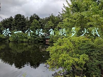 换一个眼角膜多少钱