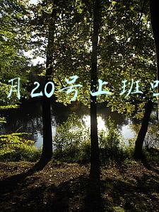 2月20号上班吗