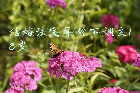 结婚法定年龄下调至18岁