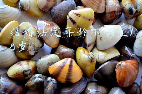 结婚法定年龄下调至18岁