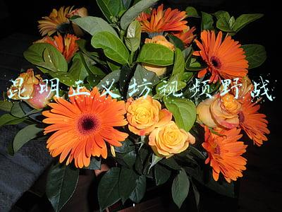 昆明正义坊视频野战