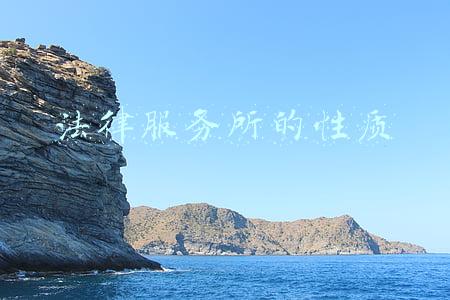 法律服务所的性质