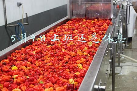 5月9日上班还是休息