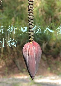 南京新街口伤人案嫌犯已被刑拘
