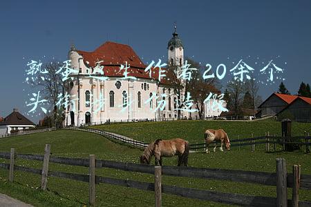 熟蛋返生作者20余个头衔涉身份造假