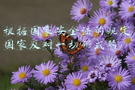 根据国家安全法的规定国家反对一切形式的霸权主义(全球治理要共同践行真正的多边主义)