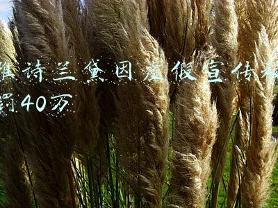 雅诗兰黛因虚假宣传被罚40万