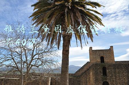 雅诗兰黛因虚假宣传被罚40万