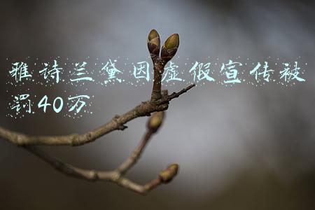 雅诗兰黛因虚假宣传被罚40万