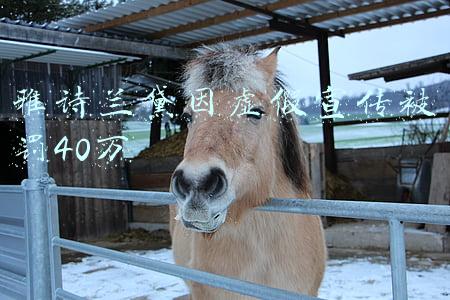雅诗兰黛因虚假宣传被罚40万