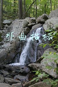 那曲招标