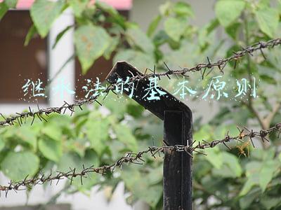 继承法的基本原则