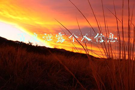 百度泄露个人信息