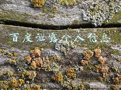 百度泄露个人信息