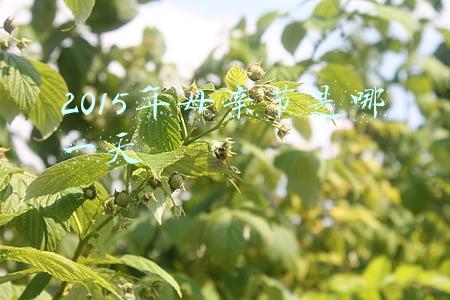2015年母亲节是哪一天