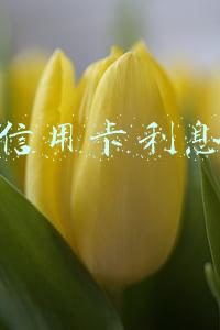 招行信用卡利息计算