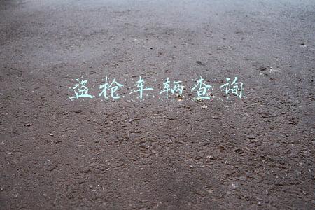 盗抢车辆查询