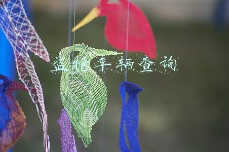 盗抢车辆查询