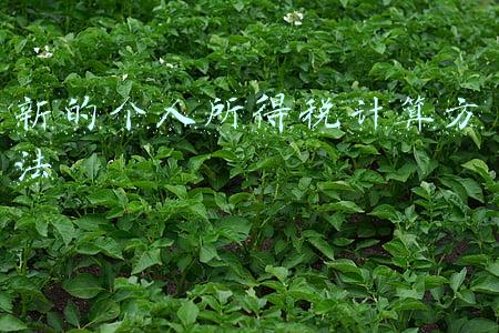 新的个人所得税计算方法