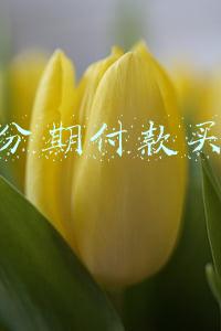工行分期付款买手机