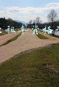 杭州出租车资格证网上报名