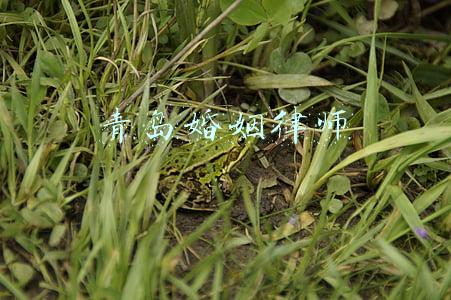 青岛婚姻律师
