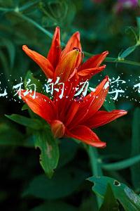 培训机构的办学许可证