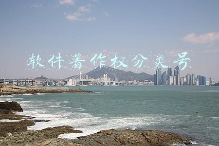 软件著作权分类号