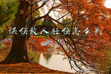 误伤致人轻伤怎么判