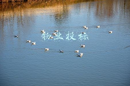 物业投标