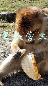 在哪里办营业执照