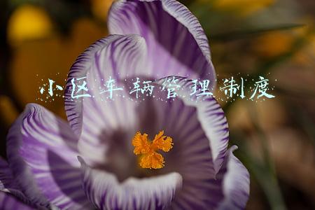 小区车辆管理制度细则(丰台南苑街道爱心送考车，高考期间“两点一线”为8名学生送考)